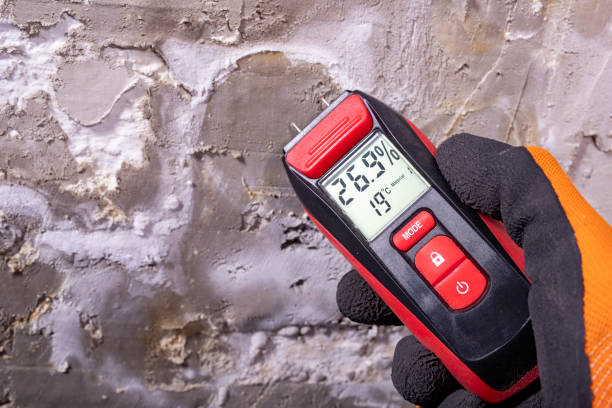 Best Water Damage Restoration  in Killen, AL