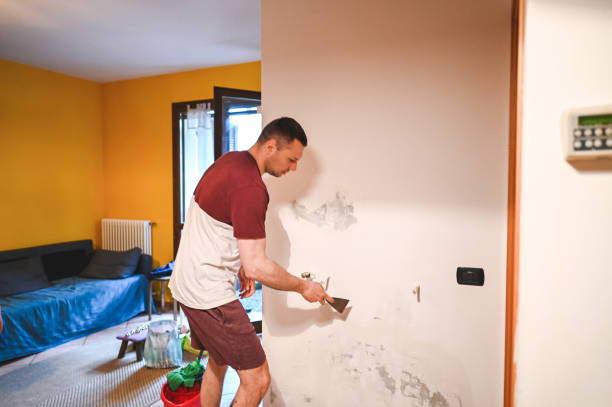 Best Commercial Mold Removal  in Killen, AL