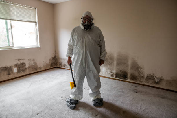 Best Toxic Mold Removal  in Killen, AL
